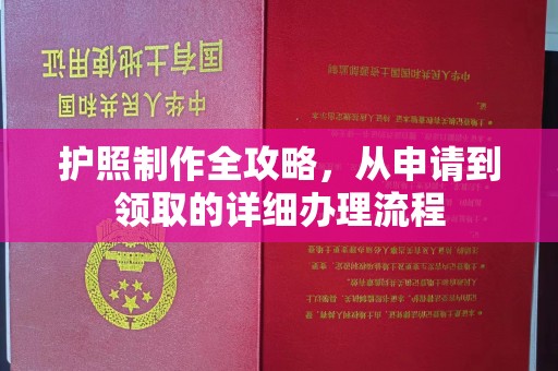 平武护照制作全攻略，从申请到领取的详细办理流程